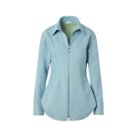 Pinstripe Denim Fitted Blouse